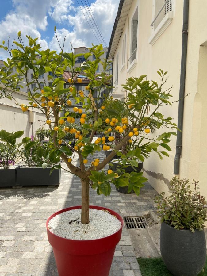 Nid D Amour F1 40M2 Calme Rdc Possibilite Jacuzzi Hammam Chamalières Dış mekan fotoğraf